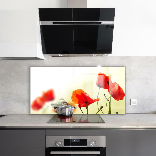 Rivestimento parete cucina Prato di campo con papaveri rossi