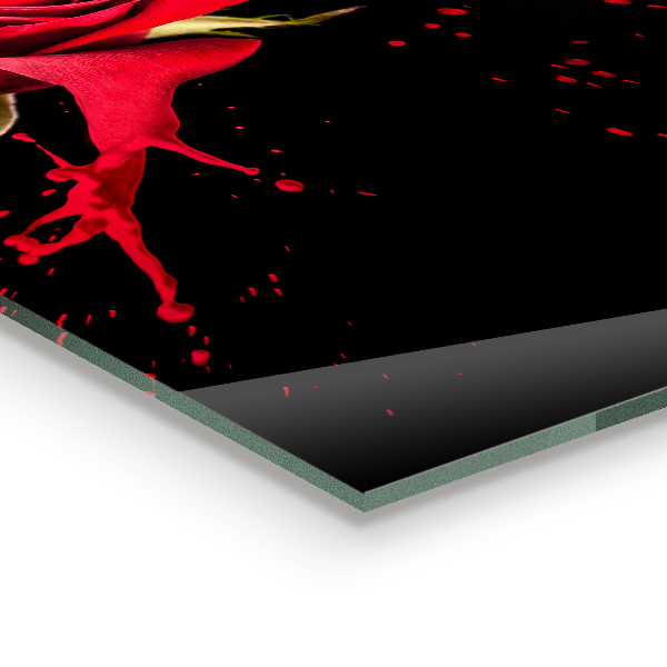 Rivestimento parete cucina Estratto della rosa rossa