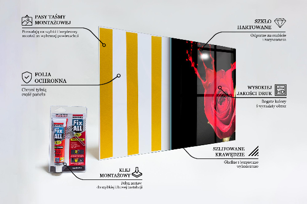 Rivestimento parete cucina Estratto della rosa rossa