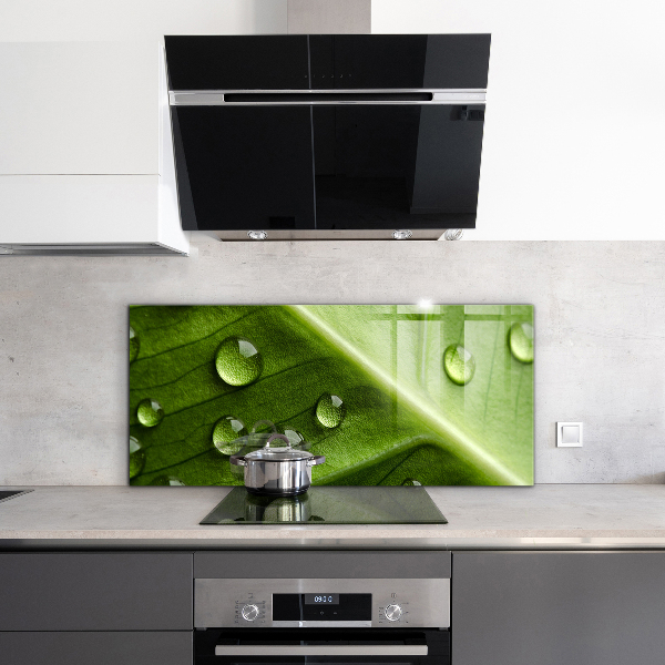 Rivestimento parete cucina Foglia con gocce di rugiada mattutina