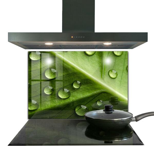 Rivestimento parete cucina Foglia con gocce di rugiada mattutina