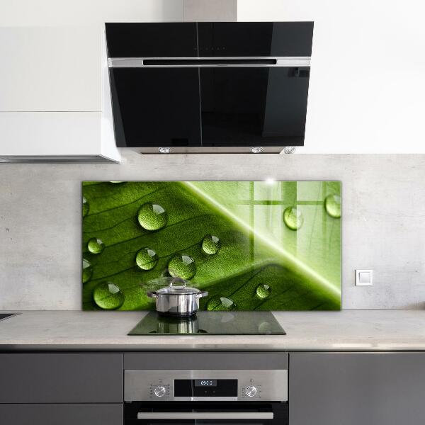 Rivestimento parete cucina Foglia con gocce di rugiada mattutina