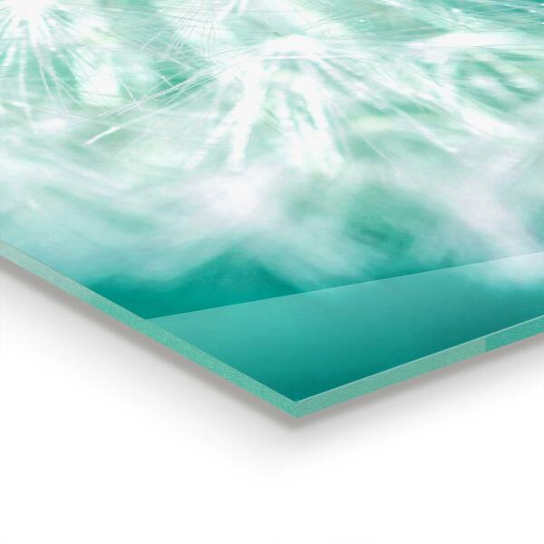 Rivestimento parete cucina Dente di leone nella pianta eolica