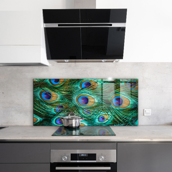 Pannello schienali cucina Piume di pavone bella natura