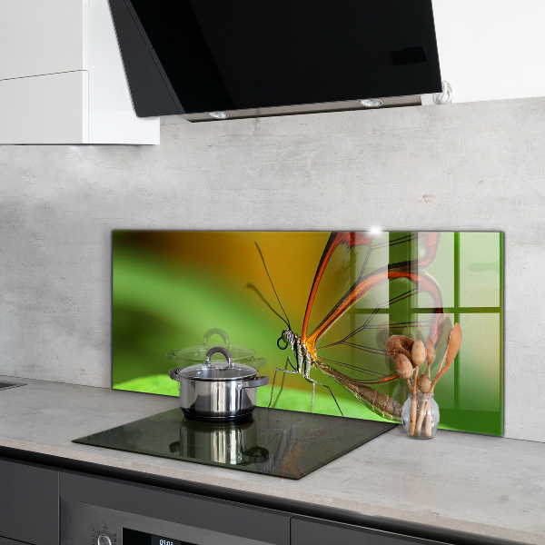 Pannello paraschizzi cucina Farfalla su una foglia