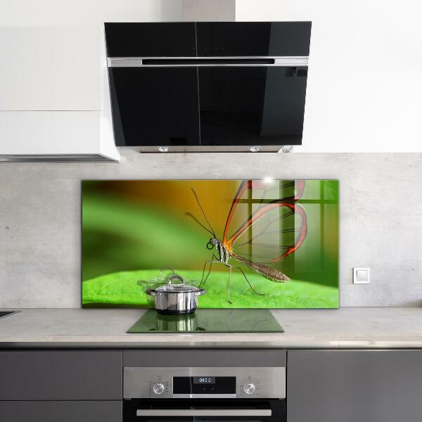 Pannello paraschizzi cucina Farfalla su una foglia