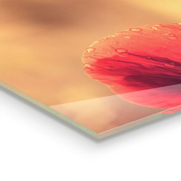 Rivestimento parete cucina Pianta di papavero d'epoca