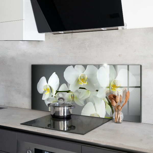 Rivestimento parete cucina Orchidea bianca su sfondo nero