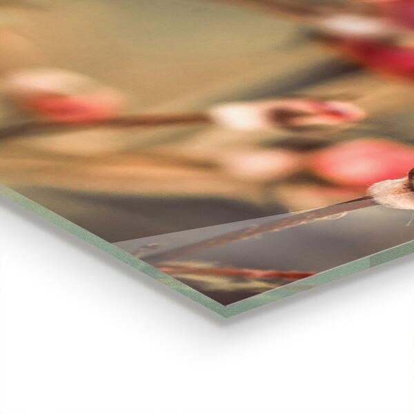 Rivestimento parete cucina Rosa selvatica nel parco