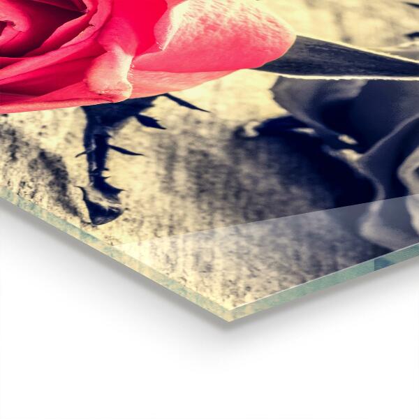 Rivestimento parete cucina Rosa simbolo dell'amore