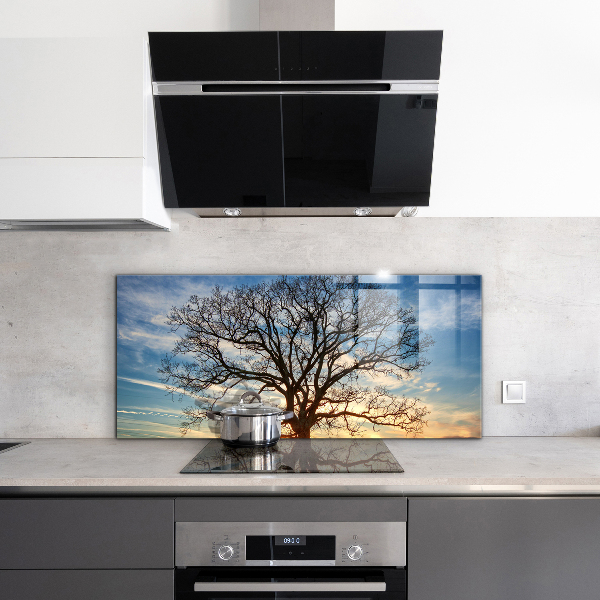 Pannello paraschizzi cucina Prato paesaggistico al mattino