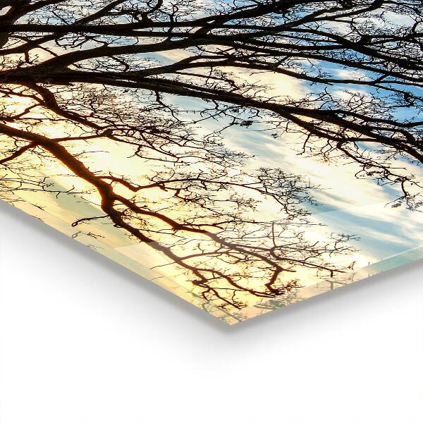 Pannello paraschizzi cucina Prato paesaggistico al mattino