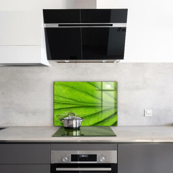 Rivestimento parete cucina Dettagli foglia verde