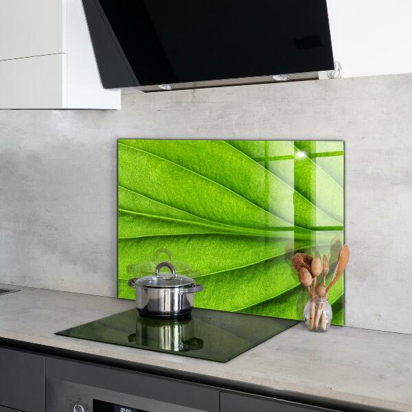 Rivestimento parete cucina Dettagli foglia verde