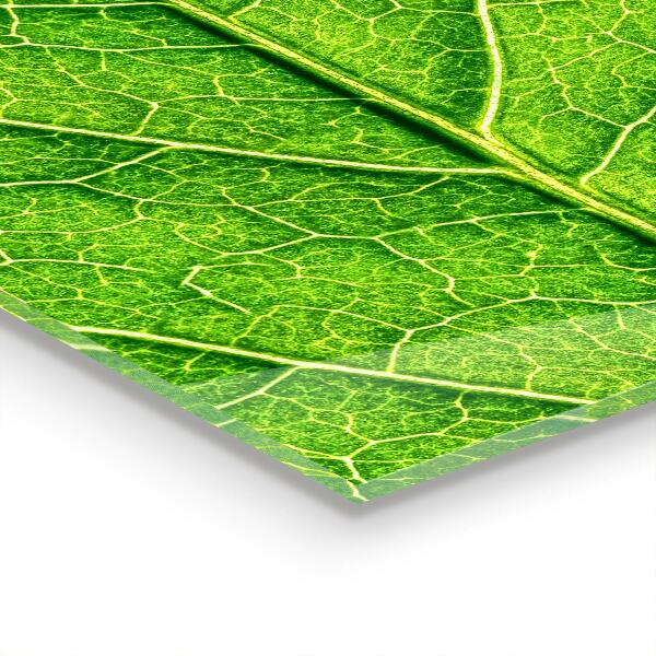 Rivestimento parete cucina Dettagli delicati delle foglie