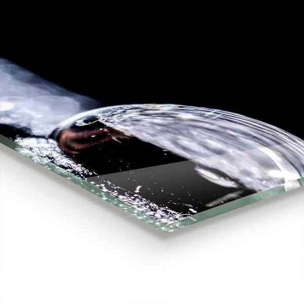 Pannello paraschizzi cucina Una goccia di rugiada al mattino