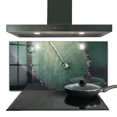 Rivestimento parete cucina Foglia con una goccia di rugiada