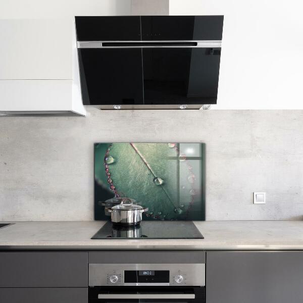 Rivestimento parete cucina Foglia con una goccia di rugiada