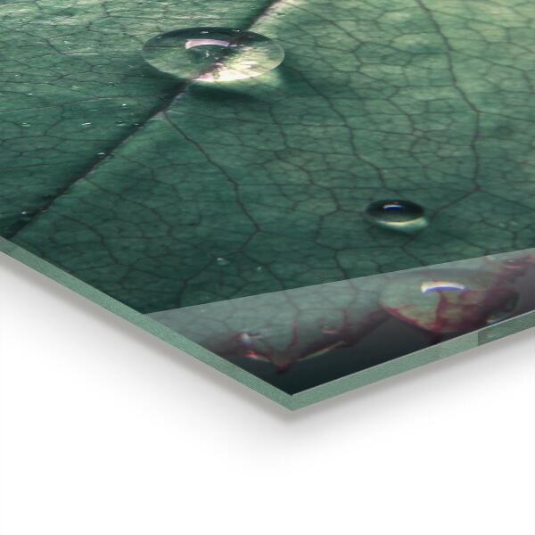 Rivestimento parete cucina Foglia con una goccia di rugiada