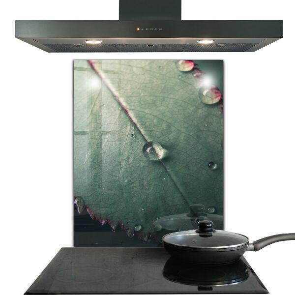 Rivestimento parete cucina Foglia con una goccia di rugiada