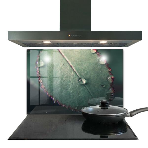 Rivestimento parete cucina Foglia con una goccia di rugiada