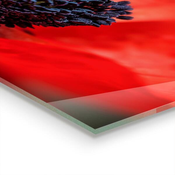 Rivestimento parete cucina Dettagli del papavero rosso