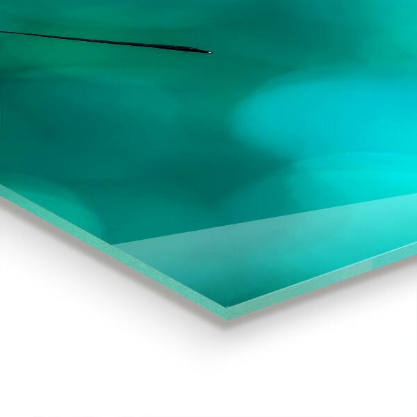 Pannello paraschizzi cucina Bellissima farfalla in natura