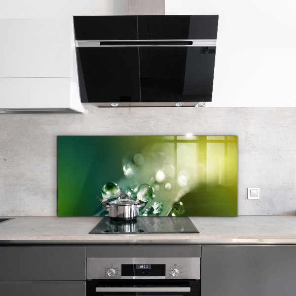 Pannello paraschizzi cucina Rugiada sulle foglie verdi