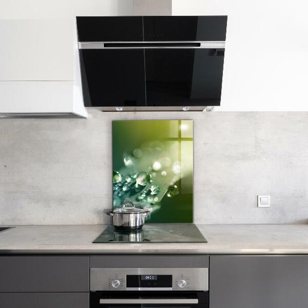 Pannello paraschizzi cucina Rugiada sulle foglie verdi