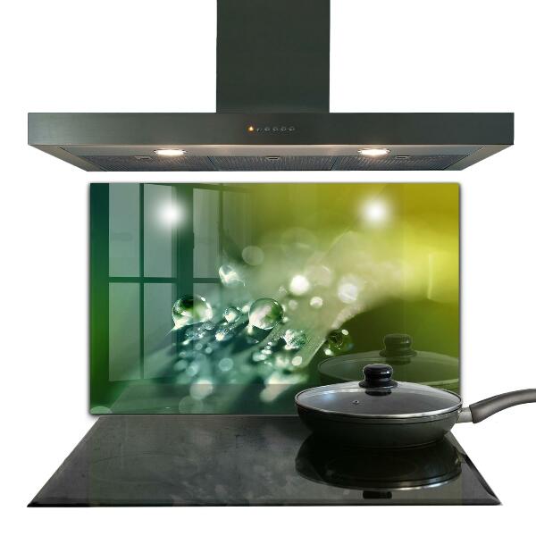 Pannello paraschizzi cucina Rugiada sulle foglie verdi