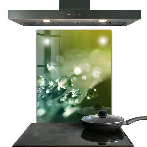 Pannello paraschizzi cucina Rugiada sulle foglie verdi