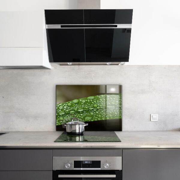 Pannello paraschizzi cucina Foglia verde dopo la pioggia