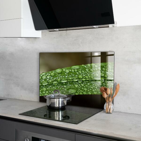 Pannello paraschizzi cucina Foglia verde dopo la pioggia