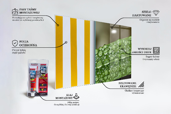 Pannello paraschizzi cucina Foglia verde dopo la pioggia
