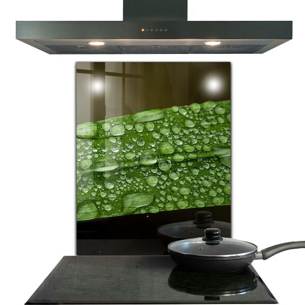 Pannello paraschizzi cucina Foglia verde dopo la pioggia