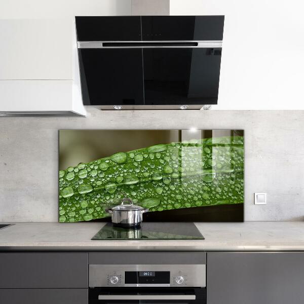 Pannello paraschizzi cucina Foglia verde dopo la pioggia