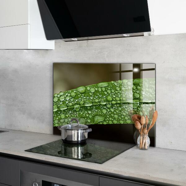 Pannello paraschizzi cucina Foglia verde dopo la pioggia