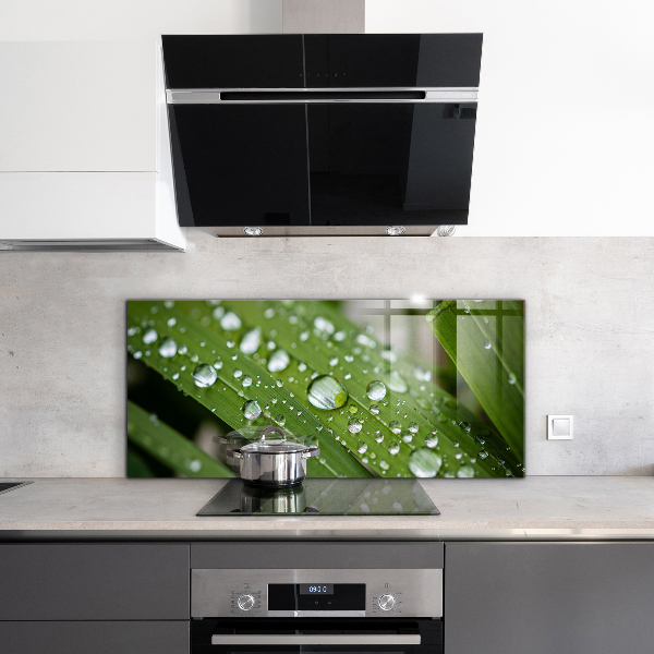 Pannello paraschizzi cucina Gocce di rugiada sull'erba