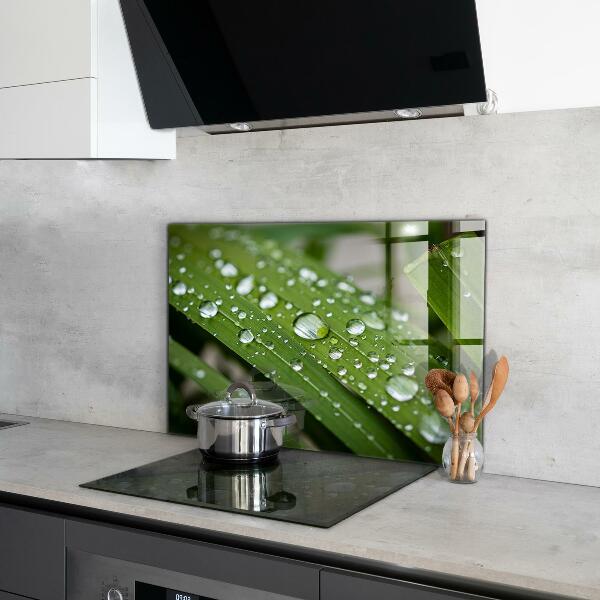 Pannello paraschizzi cucina Gocce di rugiada sull'erba