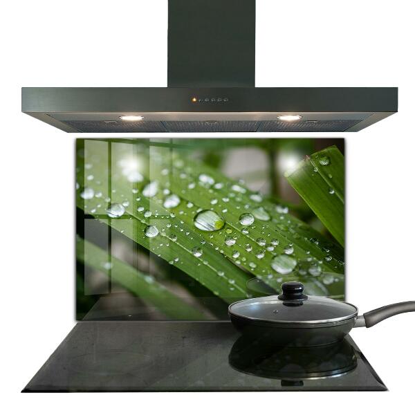 Pannello paraschizzi cucina Gocce di rugiada sull'erba