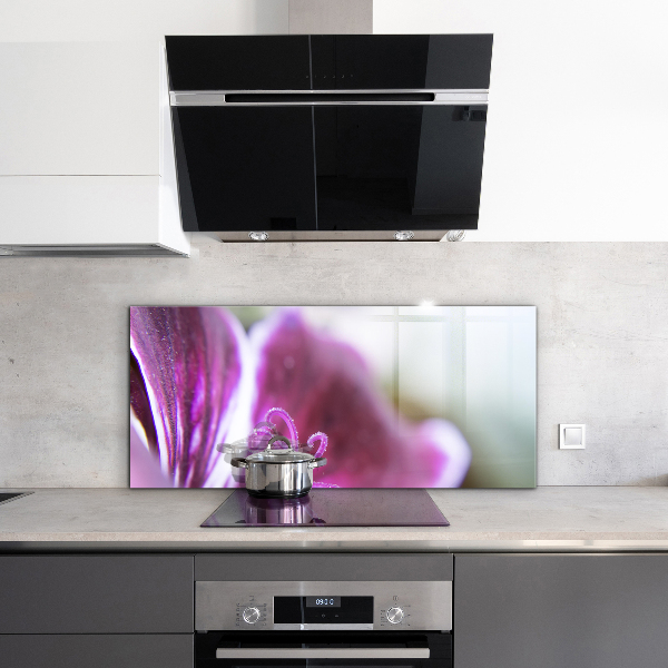 Pannello paraschizzi cucina Dettagli della natura del fiore rosa