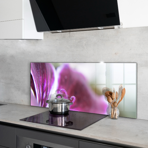 Pannello paraschizzi cucina Dettagli della natura del fiore rosa