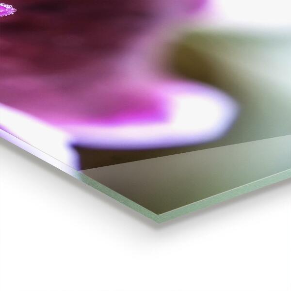 Pannello paraschizzi cucina Dettagli della natura del fiore rosa