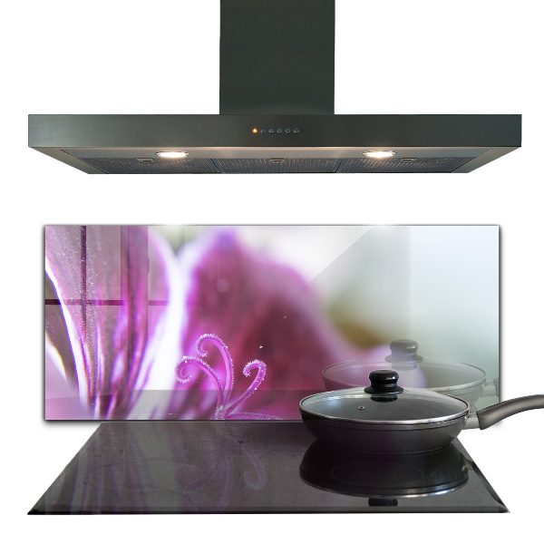 Pannello paraschizzi cucina Dettagli della natura del fiore rosa