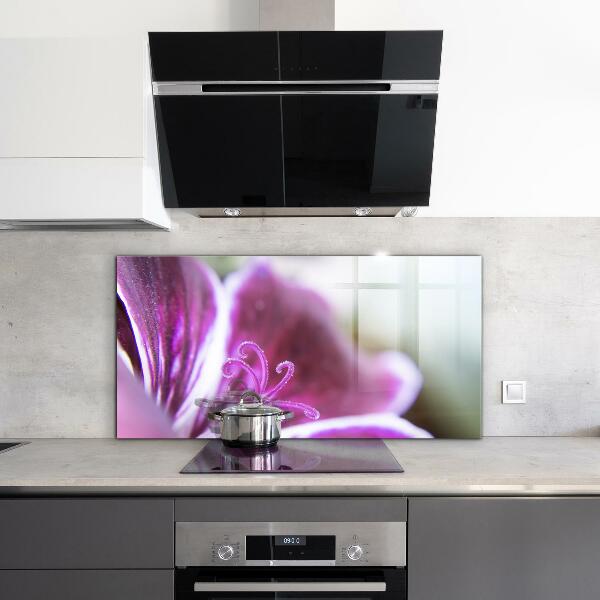 Pannello paraschizzi cucina Dettagli della natura del fiore rosa