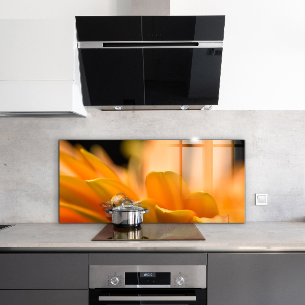 Pannello paraschizzi cucina Fiore di gerber