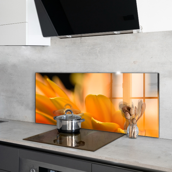 Pannello paraschizzi cucina Fiore di gerber