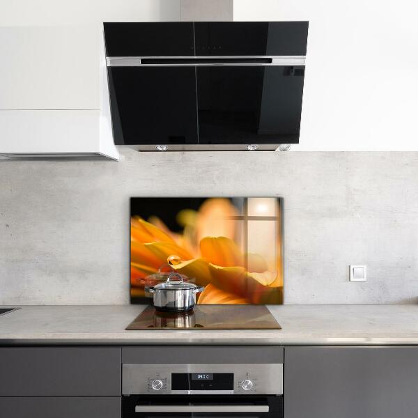 Pannello paraschizzi cucina Fiore di gerber