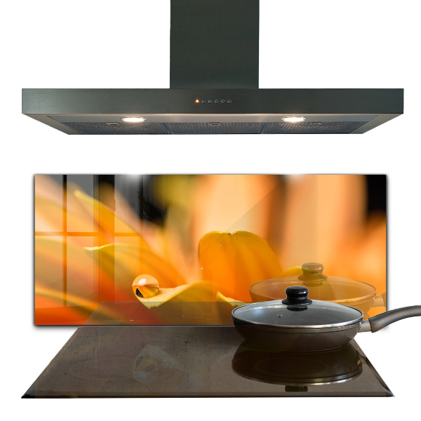 Pannello paraschizzi cucina Fiore di gerber