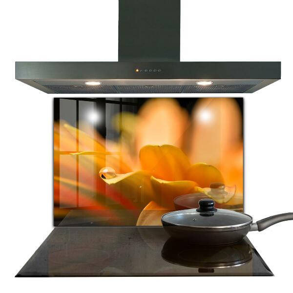 Pannello paraschizzi cucina Fiore di gerber